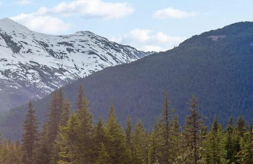 Alyeska Apartment | Brighton Condo #209