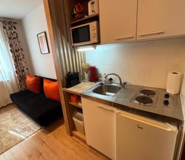 Sovata Apartment | Brigitte Apartments