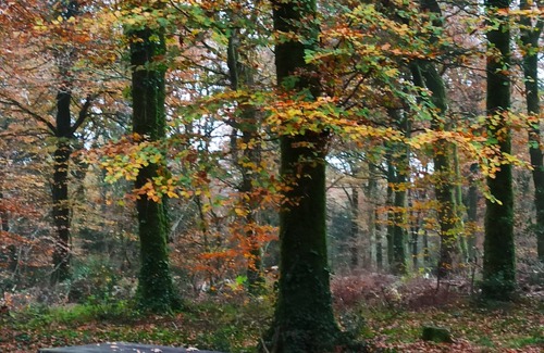 Bannalec Cottage | Brittany house south Finistère, in the countryside, quiet, independent, wifi
