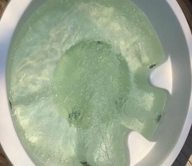 Itacare House | Bromélia Blue