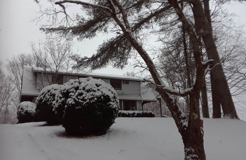Bryson City Ski Chalet | Bryson City Mountain Top Experience with stupendous view