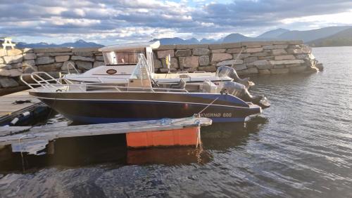 Torjulvagen House | Buavollen