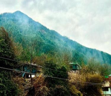 Kasol Hotel | Buddha house 2