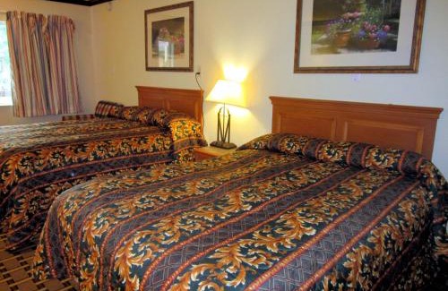 South Arlington Hotel | Budget Host Inn