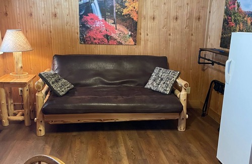 Branson Cottage | Buffalo River Cabin has 1 bedroom with queen size bed, 1 twin bunk bed in hallway, 1 futon in main l