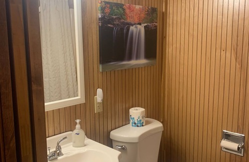 Branson Cottage | Buffalo River Cabin has 1 bedroom with queen size bed, 1 twin bunk bed in hallway, 1 futon in main l