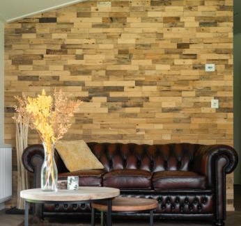 Dwingeloo Apartment | Buitenlede 7 - Suite R