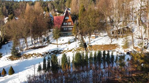 Tresna Ski Chalet | BUKOWA Jezioro Żywieckie Beskid Żywiecki Śląski Sauna Jacuzzi Kominek Morsowanie Tresna Żywiec Szczyrk