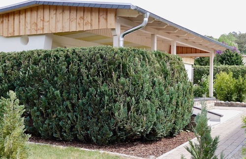 Basedow House | Bungalow am See, Deutschland