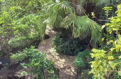 Taha'a House | Bungalow Cosy, Calme et Reposant Près du Lagon