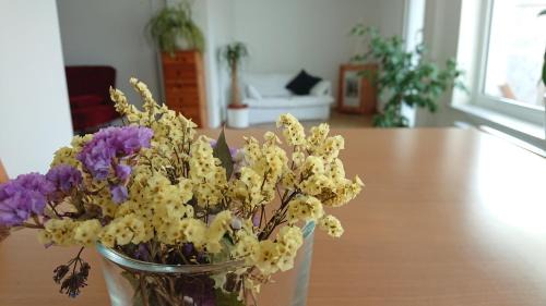 Mittelfeld Apartment | Bungalow in Messenähe