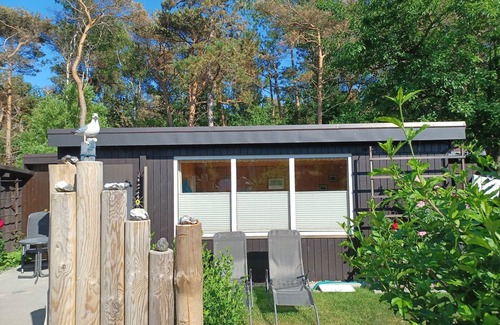 Ostseebad Wustrow Apartment | Bungalow on the Baltic Sea beach