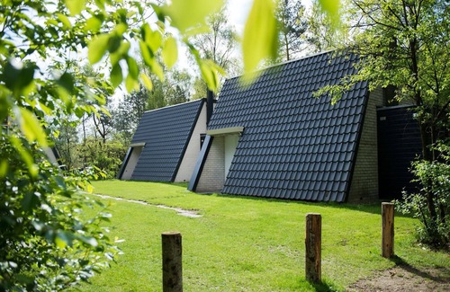 Bosgebied Hoenderloo House | Bungalow with WiFi in De Veluwe Park