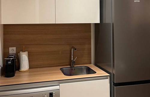 Sarajevska Apartment | Business Suite at Belgrade Waterfront - one of the main