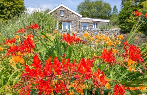 Beddgelert House | Bwythyn Y Wennol