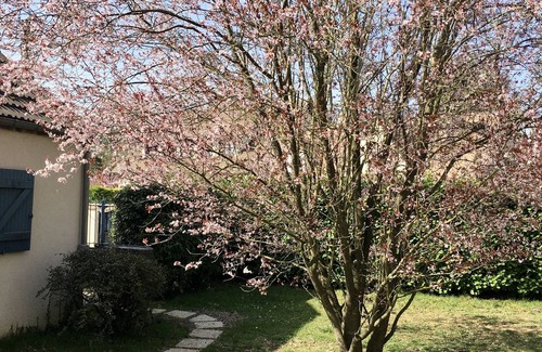 Cely Cottage | Côté quai, charming gîte near Barbizon