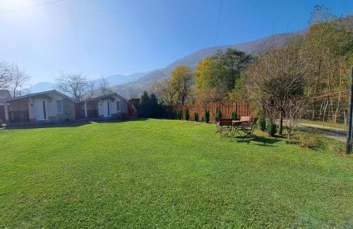 Sasciori Cabin | Căbănuțe Alex