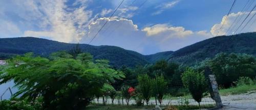 Sasciori Cabin | Căbănuțe Alex