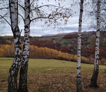 Ponor Ski Chalet | Căsuța de După Deal, Ponor