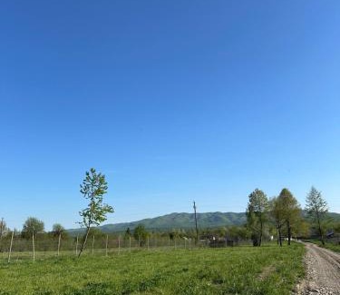 Rasca Other | Căsuța de la munte