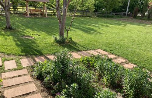 Metes House | Căsuța de sub pădure