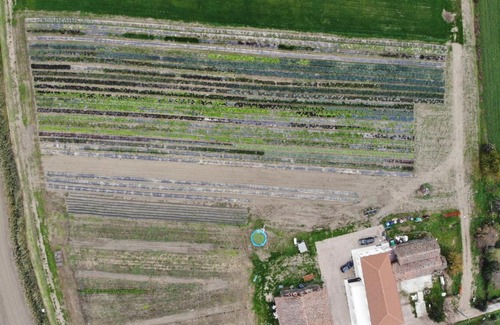 Villa Estense Hotel | Ca' Vascon Alloggio Agrituristico