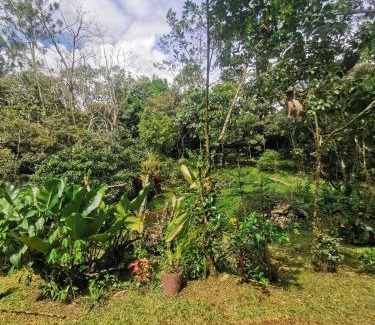 Pacuare Reserve Resort | Cabaña AMOTO