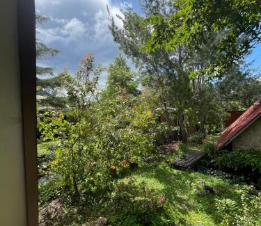 Santa Maria Ski Chalet | Cabaña Azalea en Santa María de Dota