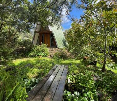 Santa Maria Ski Chalet | Cabaña Azalea en Santa María de Dota