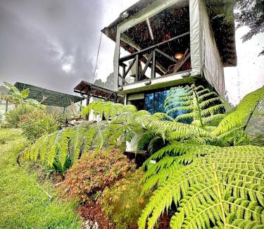 Guarne House | Cabaña Blanca Guarne cerca a Metrocable ARVI
