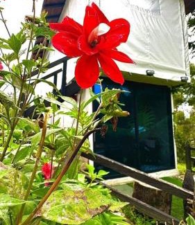 Guarne House | Cabaña Blanca Guarne cerca a Metrocable ARVI