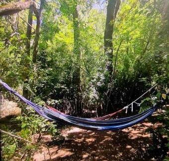 Pinto Ski Chalet | Cabaña bosque