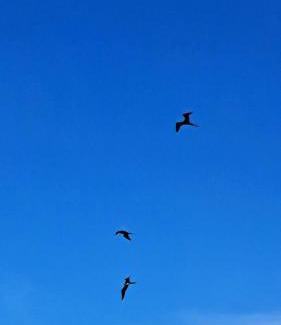 Necocli House | Cabaña desde 4 huéspedes 560 metros cuadrados con Naturaleza a 300 metros mar