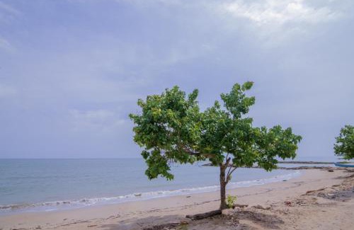 Costa Caribe Apartment | Cabaña Don Alejo