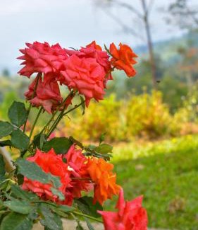 Cajon Other | Cabaña el Chapuzón montaña y rio, lugar fresco
