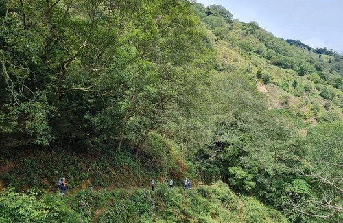 Rivas Ski Chalet | Cabaña El Descanso #1, Macho Mora Mountain Lodge