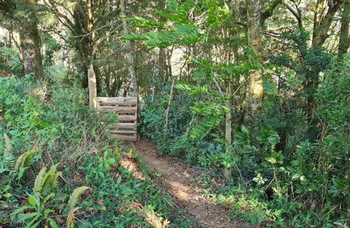Rivas Ski Chalet | Cabaña El Descanso #1, Macho Mora Mountain Lodge