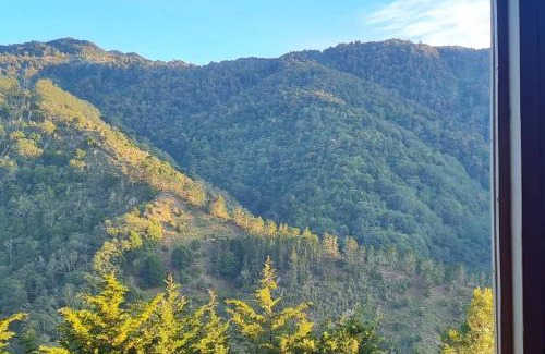 Rivas Ski Chalet | Cabaña El Descanso #1, Macho Mora Mountain Lodge