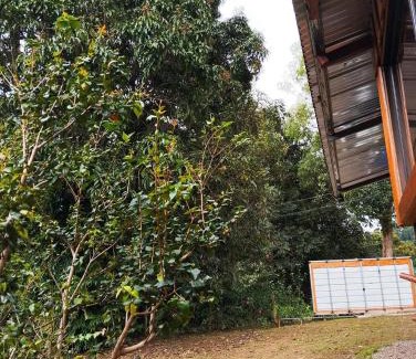 Rivas Other | Cabaña el Mango