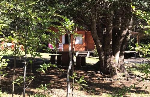 Panguipulli House | Cabaña en Coñaripe Sector Termas Geométricas "Entre Coigûes"
