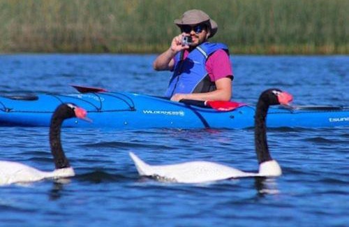 Valdivia House | CABAÑA ENTRE ARRAYANES Y COPIHUES Selva VALDIVIANA