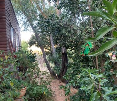 Valparaiso House | Cabaña entre parras