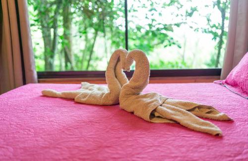 Santa Rosa Apartment | Cabaña La Montaña: Vistas increíbles y Mirador