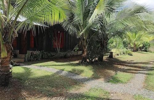 Katira House | Cabaña lago Río Celeste