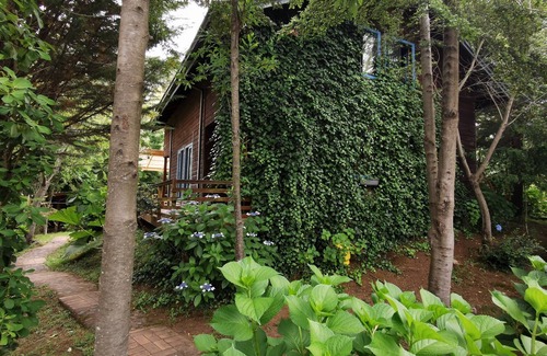 Conaripe House | Cabaña Pudomo en Coñaripe con Hot-tub exclusivo