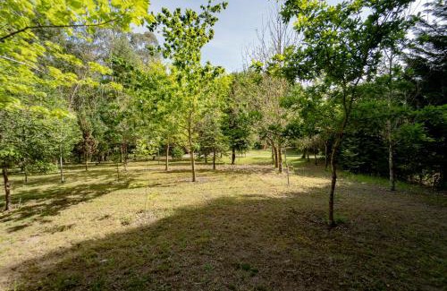 Ponteareas Ski Chalet | Cabaña quinta do Conde