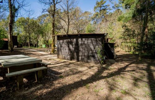 Ponteareas Ski Chalet | Cabaña quinta do Conde