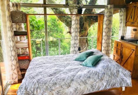 Concepcion House | Cabaña treehouse Mountain View