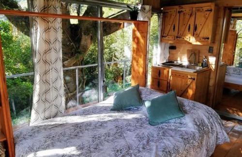 Concepcion House | Cabaña treehouse Mountain View