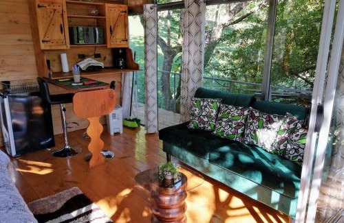 Concepcion House | Cabaña treehouse Mountain View